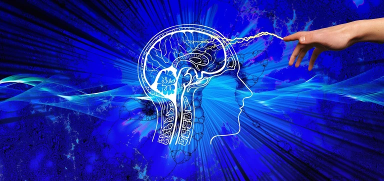 Gli studi confermano l'influenza positiva della programmazione sul cervello umano!